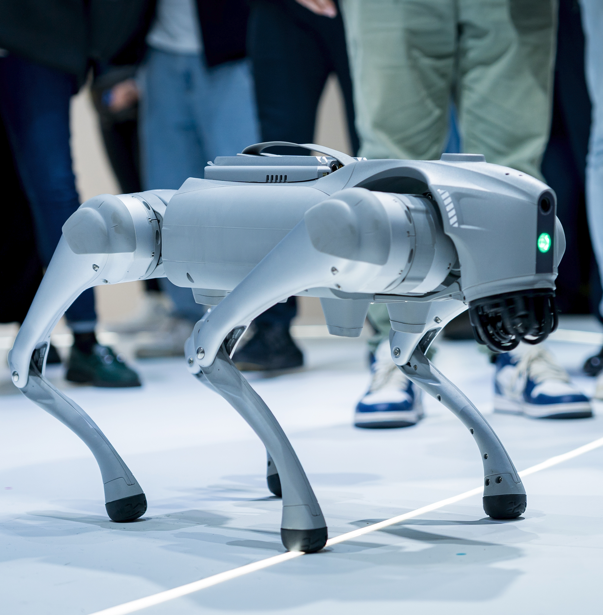 Robot quadrupède connecté avec systèmes électroniques intégrés